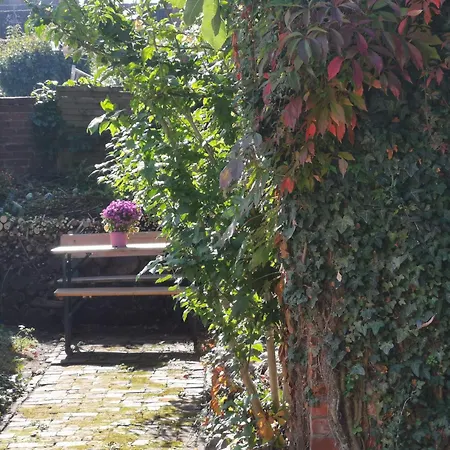 Haus Am Hafen Holiday home *