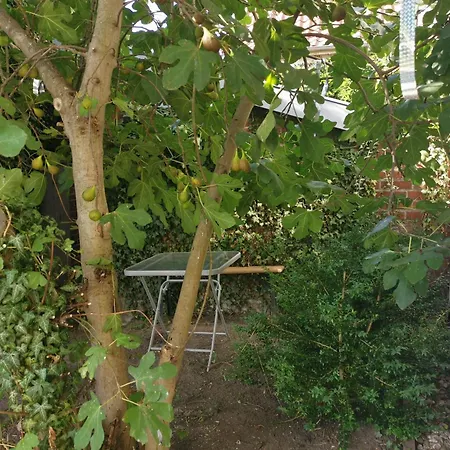 Haus Am Hafen * Neustadt in Holstein